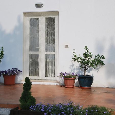 Casa Con Vista Holiday Rentals, Honeysuckle Guardiagrele Eksteriør bilde